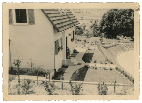 Paulas Garten 1953