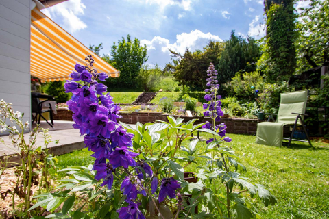 Blick in den Garten von Paulas Ferienhaus in 74722 Buchen (Odenwald)