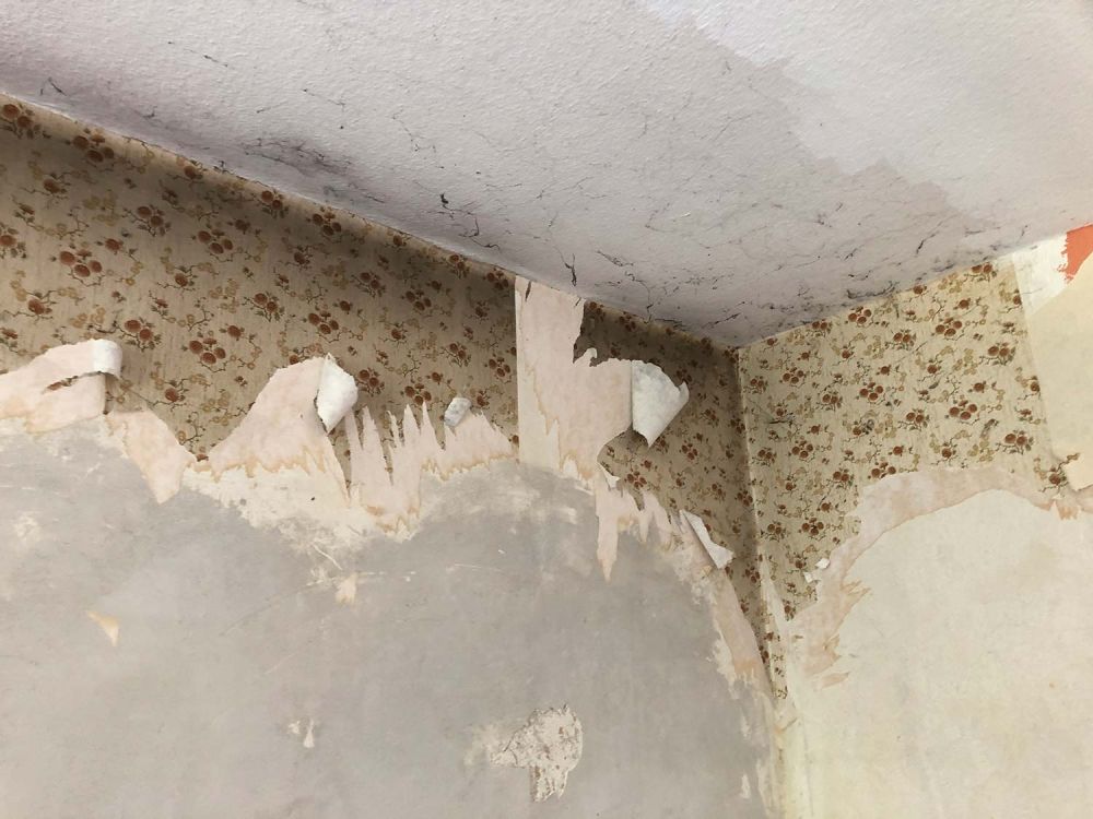 Während der Sanierung von Paulas Ferienhaus in Buchen (Odenwald)